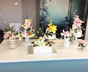 Examples from the Galway Cakes Menu from Carol's Cakes Galway